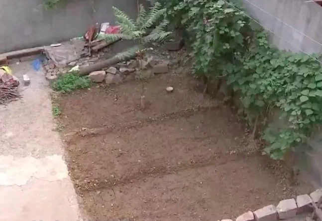 Mưu kế của người đàn bà giấu xác chồng trong sân nhà 2 Khoảnh đất được xới tơi trong sân nhà con trai khiến ông Dương nghi ngờ. Ảnh: CCTV