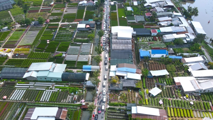 Một góc làng hoa Sa Đéc, TP Sa Đéc. Ảnh: Ngọc Tài