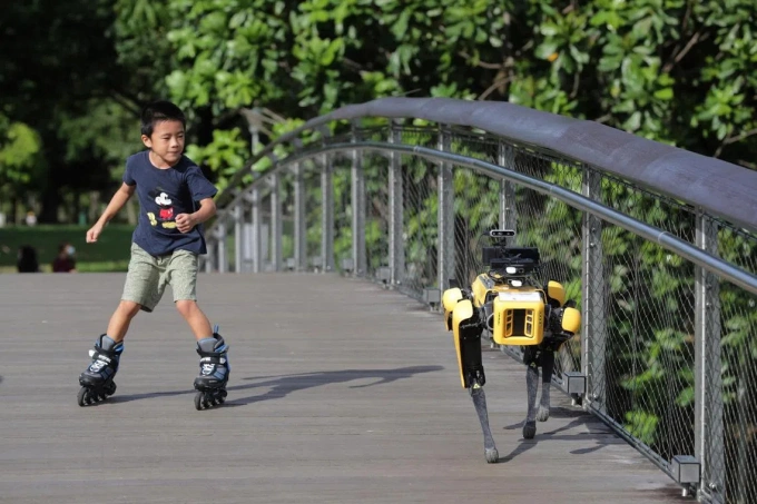 Chó robot Spot tuần tra tại công viên Bishan-Ang Mo Kio, tháng 5/2020. Ảnh: ST