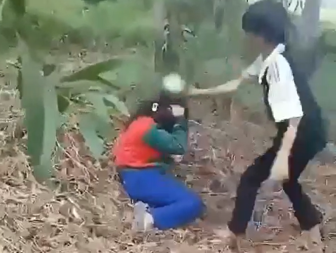 Nữ sinh bị bạn đánh trong vườn xoài ở huyện Châu Phú, tỉnh An Giang. Ảnh cắt từ video