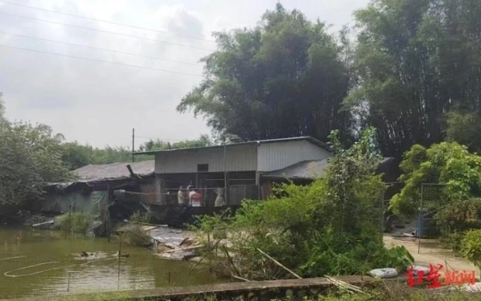 Nơi ở của Lý Tài tại Quảng Đông. Ảnh: Weiyuan Jingcha