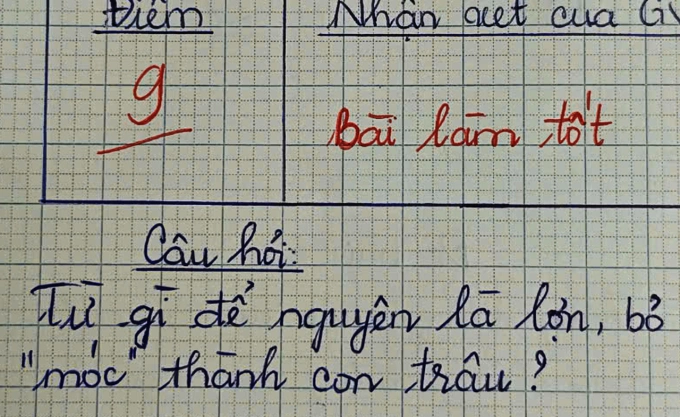 Từ tiếng Việt nào là con lợn, bỏ dấu móc thành con trâu? Ảnh minh họa.