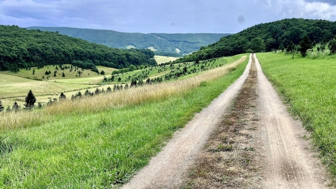 Vị trí gần nơi tìm thấy chiếc nhẫn trong trang trại. Ảnh: WP