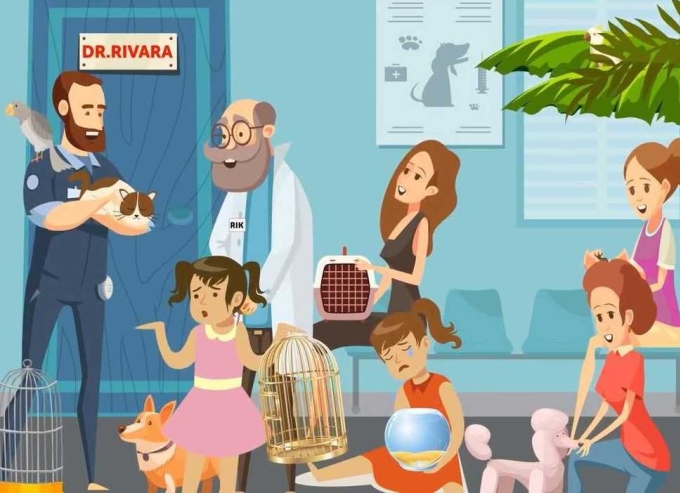 Bạn có thể tìm ra chủ nhân của con mèo?