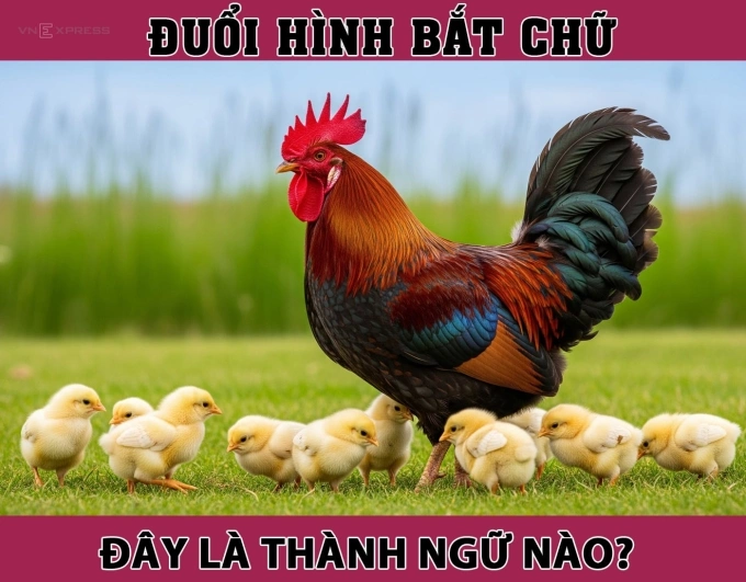 Thành ngữ thể hiện sự mạnh mẽ của gà trống này là gì