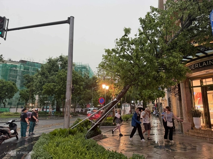 Cây đổ trên đường phố Hà Nội, chiều 19/7. Ảnh: Giang Huy