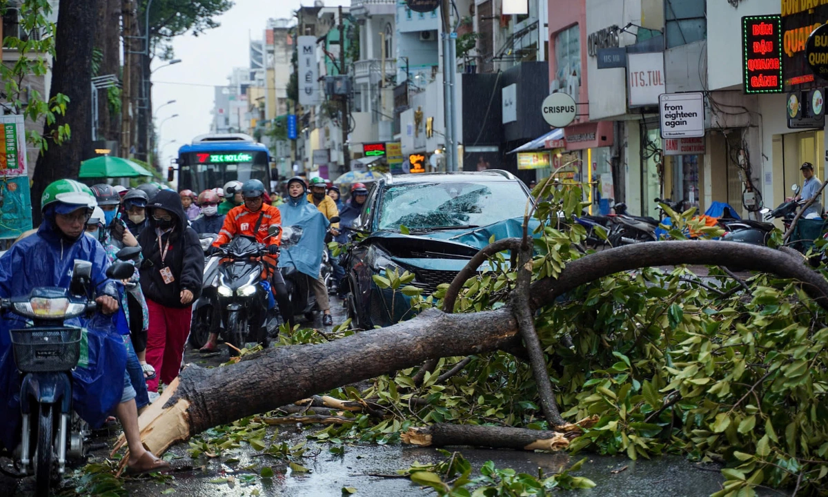 Hàng loạt cây gãy đổ trong mưa giông ở TP HCM