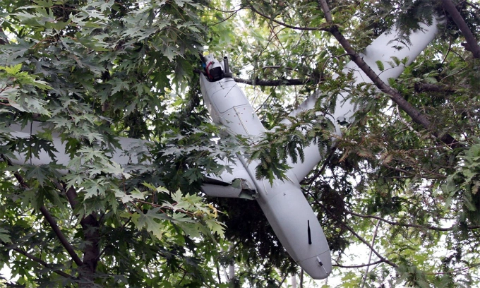 UAV nghi của quân đội Hàn Quốc bị vướng trên cây trong ảnh do Triều Tiên công bố tháng 10/2024. Ảnh: KCNA