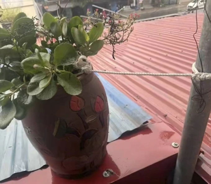 Những cách chống bão Wipha có 1-0-2 - 8