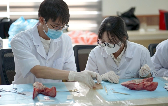 Sinh viên ngành Răng Hàm Mặt của trường Đại học Y Dược trong workshop về phẫu thuật trong miệng, giữa tháng 5. Ảnh: LCĐ Răng Hàm Mặt