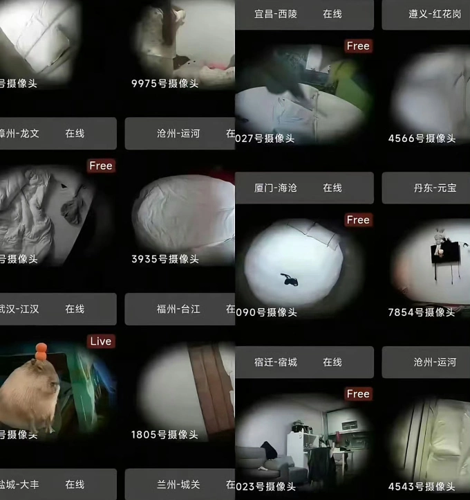 Những chiếc camera ẩn ghi hình 24/24 tại nhiều nơi khắp Trung Quốc. Ảnh: Weibo