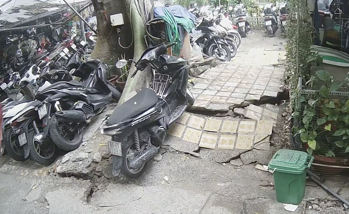 Cây cao 20 m bật rễ, uy hiếp hàng chục hộ dân ở TP HCM