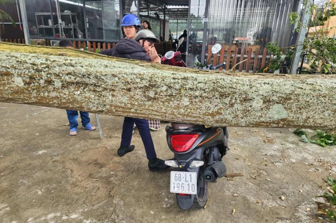 Xe máy bị thân cây đè trúng. Ảnh: Người dân cung cấp