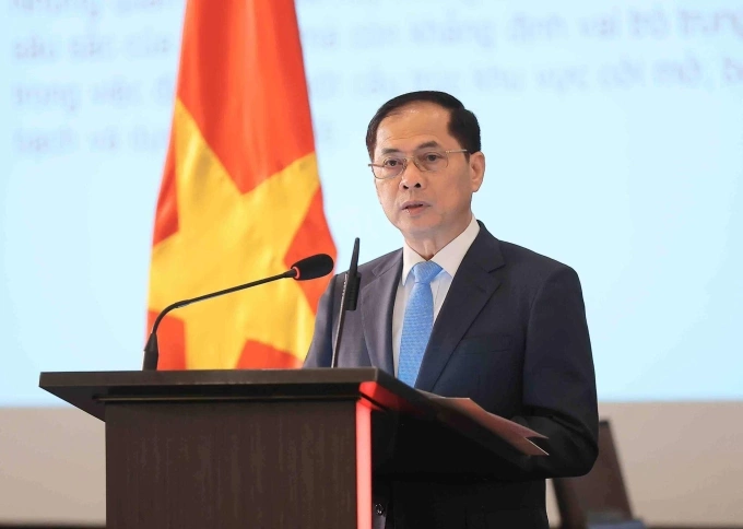 Phó Thủ tướng, Bộ trưởng Ngoại giao Bùi Thanh Sơn phát biểu tại Hà Nội, tối 28/7. Ảnh: TTXVN