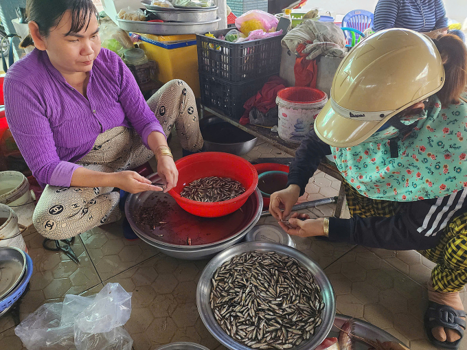 Tiểu thương chợ Mỹ Phú làm sạch cá linh non, giá bán 200.000 đồng mỗi kg. Ảnh: Ngọc Tài