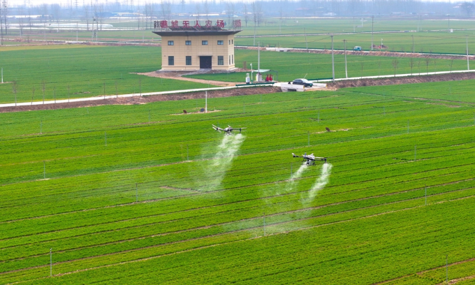 Drone đang phun thuốc trên cánh đồng. Ảnh: VCG