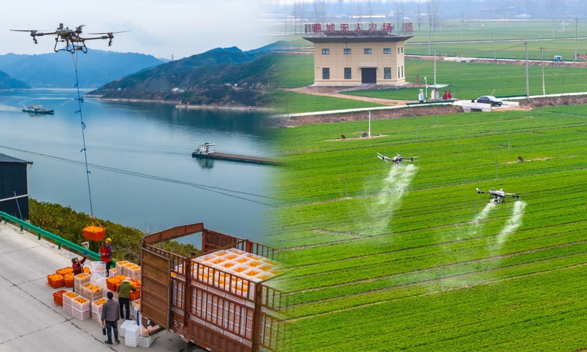 Những cánh đồng 'không người lái' tại Trung Quốc