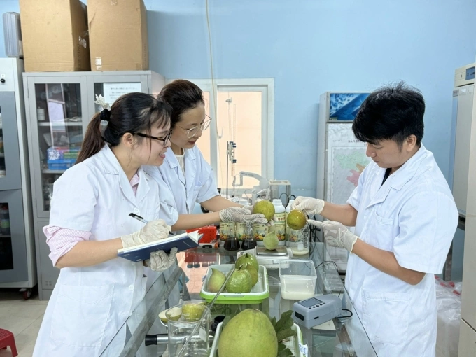 Nhóm thử nghiệm trên các loại hoa quả trong quy mô phòng thí nghiệm. Ảnh: NVCC