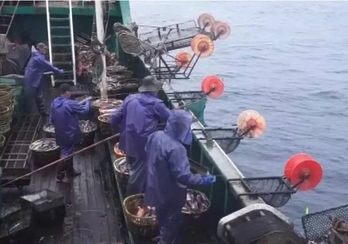 Thuyền viên trên tàu câu mực đại dương. Ảnh minh họa