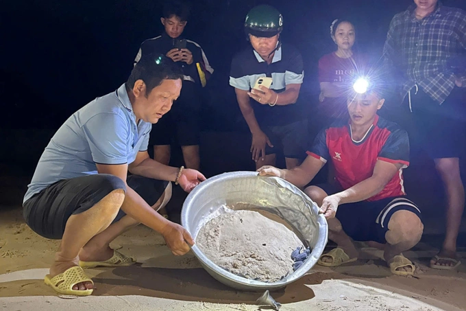 Người dân cùng chính quyền địa phương đưa rùa con ra biển thả. Ảnh: Ái Trinh