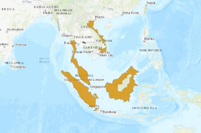 Bản đồ phân bổ của chồn bay. Ảnh: Liên minh Bảo tồn Thiên nhiên Quốc tế.