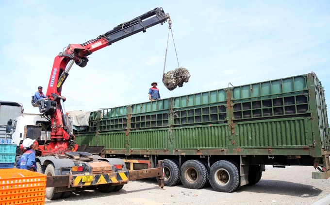 Lực lượng chức năng yêu cầu chủ phương tiện hạ tải. Ảnh: