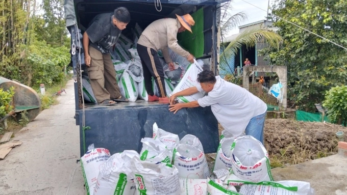 Những túi đựng cá giống chuẩn bị thả lên vùng nuôi, bên cạnh những loài có sẵn ngoài tự nhiên. Ảnh: Trần Thanh