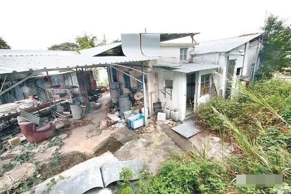 Những con chó hoang hàng ngày bị nhốt trong căn nhà tôn không có khóa ở bên trái hình. Nơi này ban đầu là trạm tái chế phế liệu. Căn nhà cấp bốn ở bên phải là nơi ở của gia đình bốn người, vốn là chuồng heo. Sau khi chủ cũ bán trạm tái chế và chuồng heo, tất cả nhà đất trong hình đều thuộc về gia đình họ Đàm.