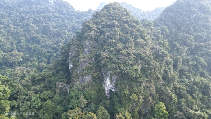 Vùng lõi rừng Cúc Phương khá rậm rạp, chứa nhiều hang động thu hút du khách khám phá. Ảnh: Lê Hoàng