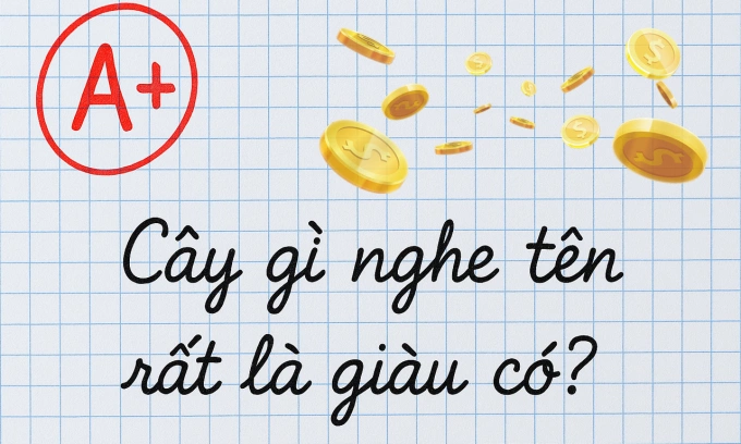 Cây gì nghe tên rất là giàu có? Ảnh minh họa.