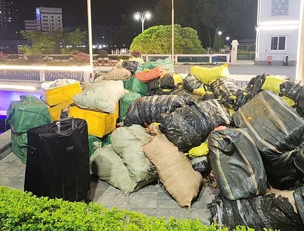 Thực phẩm đông lạnh nhập lậu bị thu giữ. Ảnh: H.Q