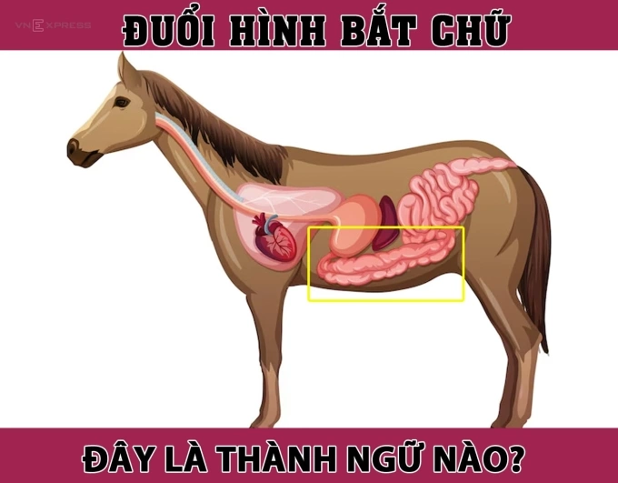 Thành ngữ nào liên quan đến đặc điểm của con ngựa?