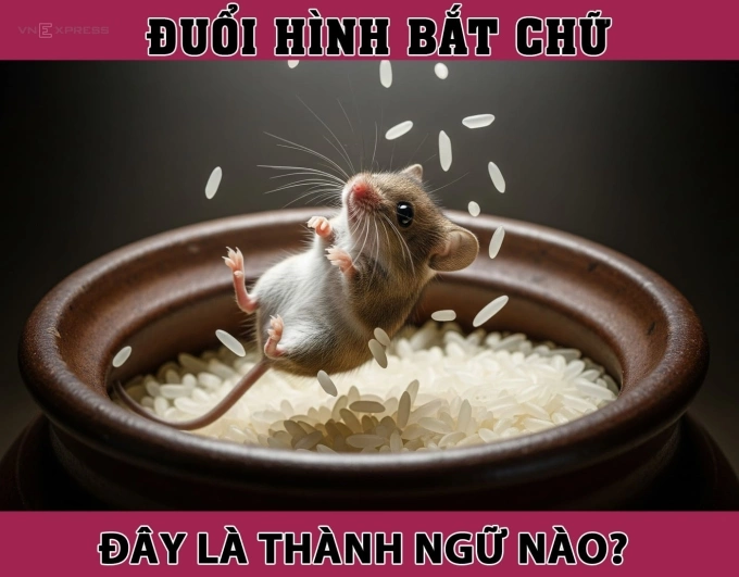 Hình ảnh một chú chuột đang nhảy lên trong một hũ gạo, với những hạt gạo bay xung quanh.