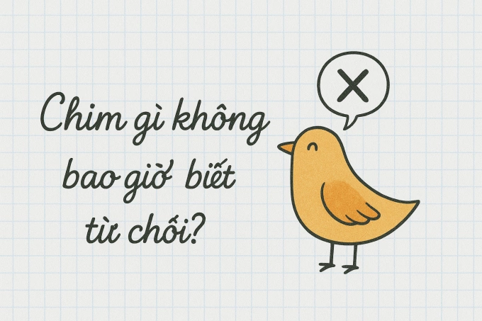 Chim gì không bao giờ biết từ chối?
