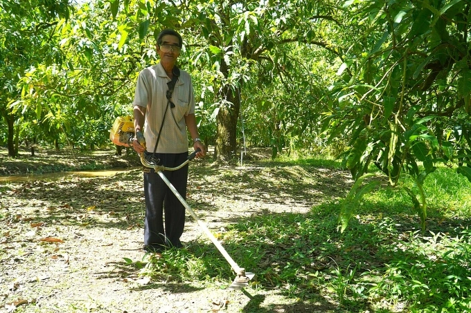 Ông Nguyễn Văn Mách, phát cỏ trong vườn xoài 30 năm tuổi. Ảnh: Ngọc Tài