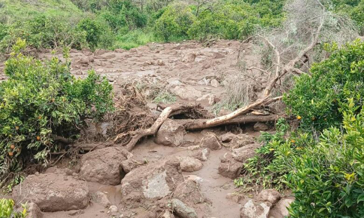 Lở đất chôn vùi hơn 1.000 dân làng ở Sudan