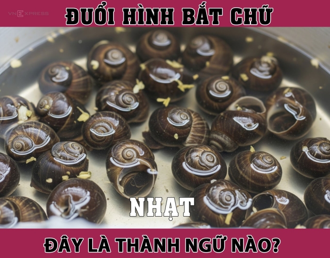Câu thành ngữ đơn giản này là gì?
