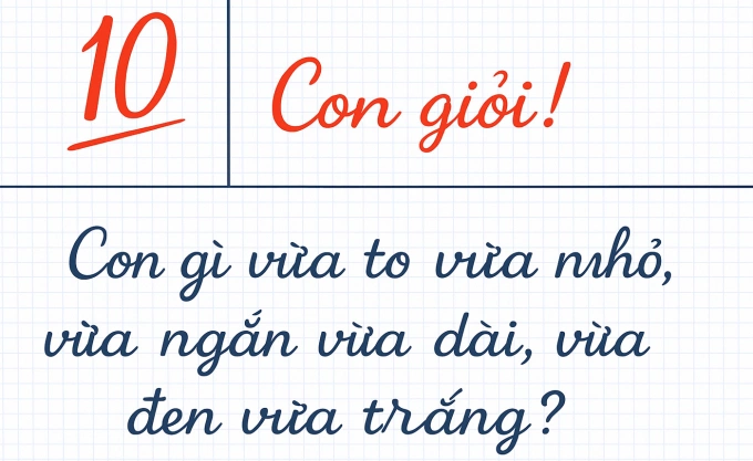 Con gì vừa to vừa nhỏ, vừa ngắn vừa dài, vừa đen vừa trắng? Ảnh minh họa.