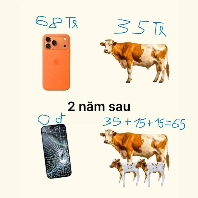 Vậy là biết ai giá trị hơn ai rồi đó.