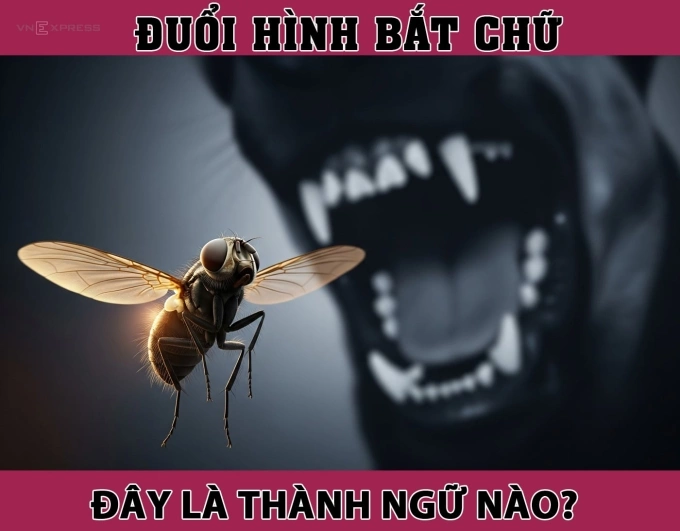 Câu tục ngữ nói về những con người may mắn này là gì?