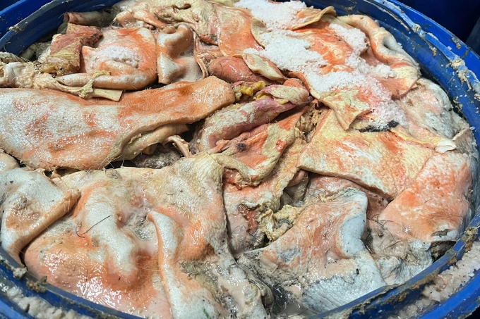 Số da heo làm - nguyên liệu làm lạp xưởng. Ảnh: Ngọc Oanh