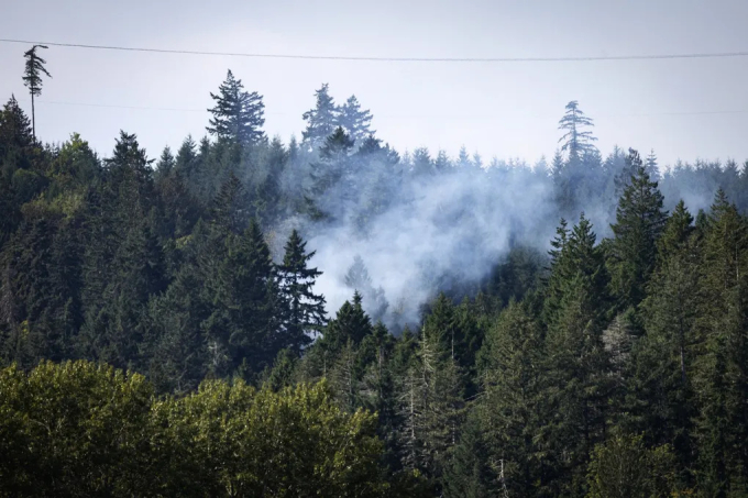 Khói bốc lên từ hiện trường vụ tai nạn. Ảnh: Seattle Times