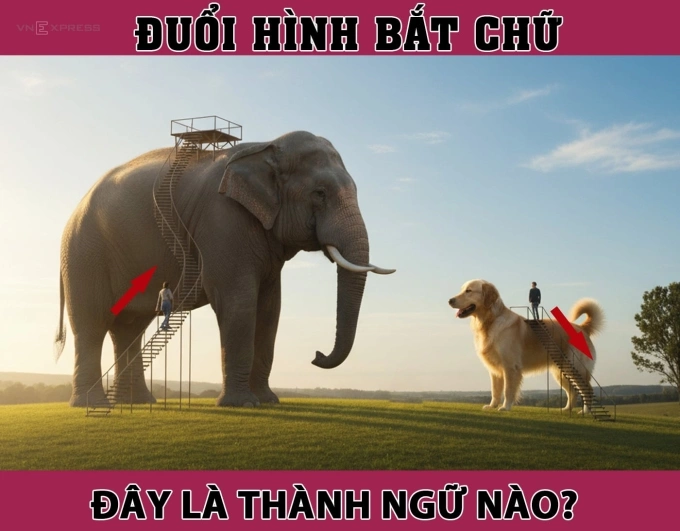 Voi và chó gợi ý cho bạn về câu thành ngữ nào?