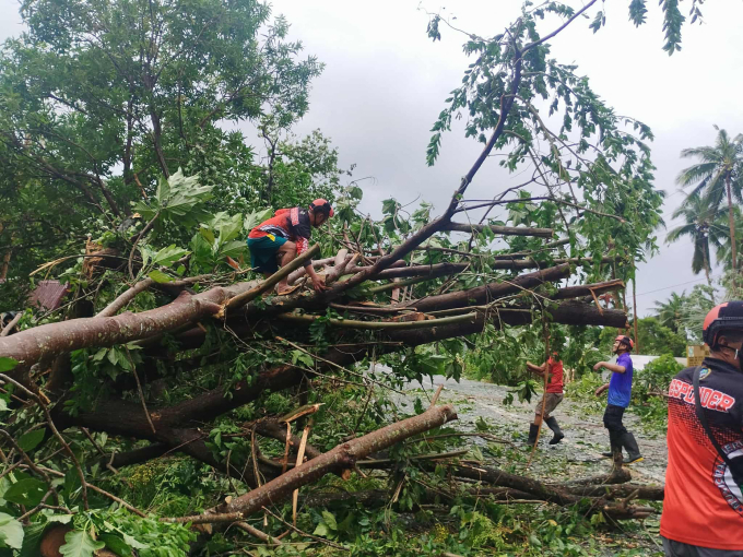 Công nhân dọn dẹp đoạn đường bị cây đổ vì bão Bualoi ở Palanas, tỉnh Masbate, Philippines, ngày 26/9. Ảnh: AFP