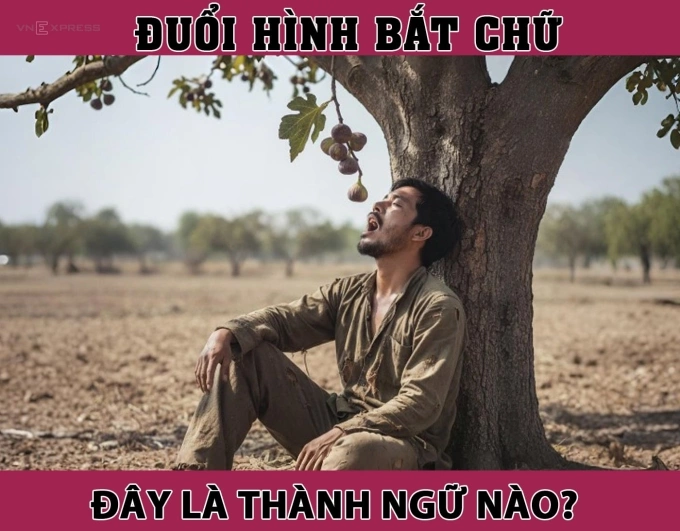 Câu thành ngữ nào miêu tả sự nhàn rỗi ngồi không mà hưởng?