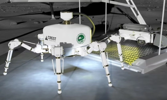 Robot Charlotte được giới thiệu tại một sự kiện ở Sydney. Ảnh: Crest Robotics & Earthbuilt Technology
