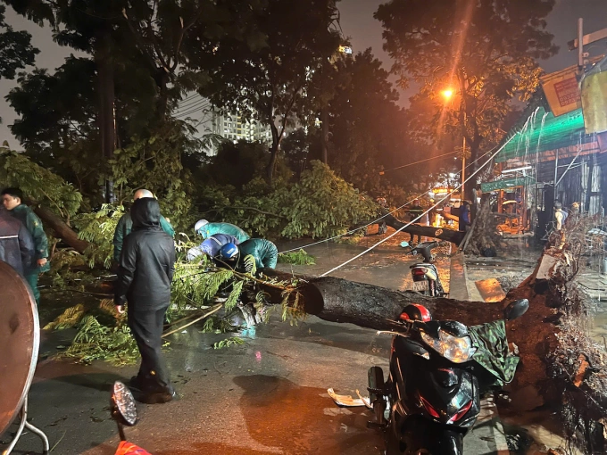 Hàng loạt cây xanh bật gốc trên đường Tân Hóa. Ảnh: Thái Hà