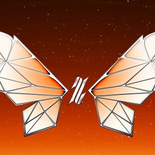 Tân binh toàn năng