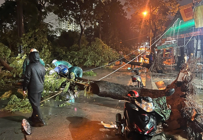 Hàng loạt cây xanh bật gốc trên đường Tân Hóa. Ảnh: Thái Hà