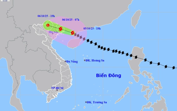 Dự báo đường đi và khu vực ảnh hưởng của bão Matmo lúc 19h hôm nay. Ảnh: NCHMF